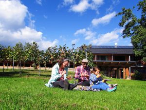 Processed with VSCO with  preset